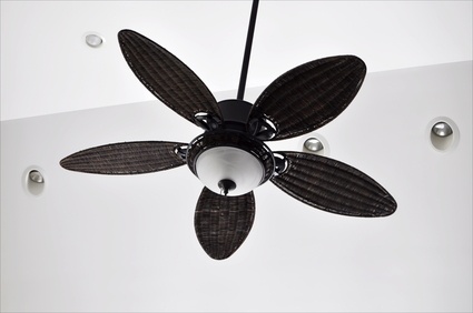 ceiling fan